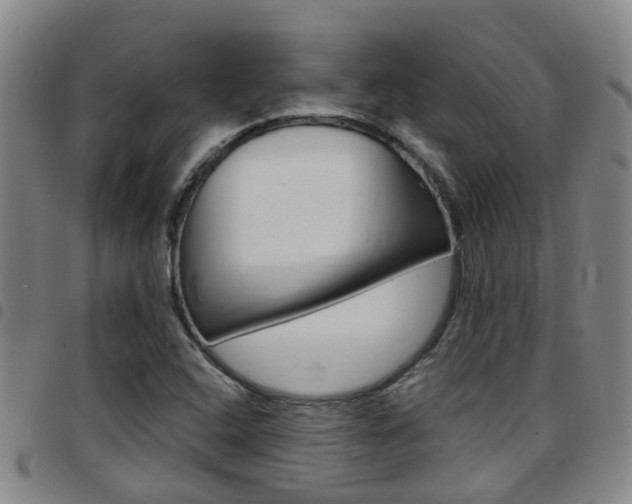 X0000097831408200803140818