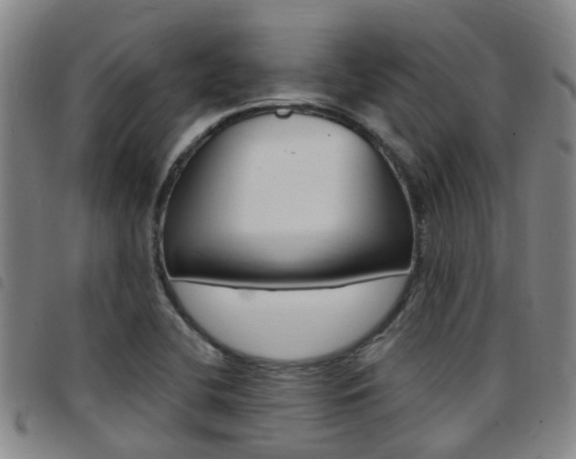 X0000097831412200803140818