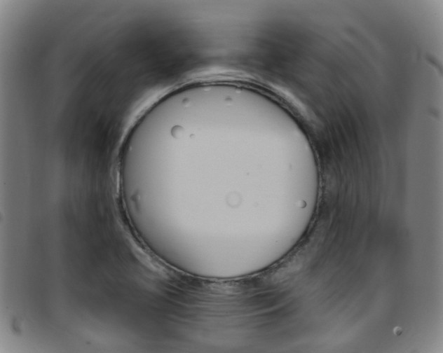 X0000097831413200803140818