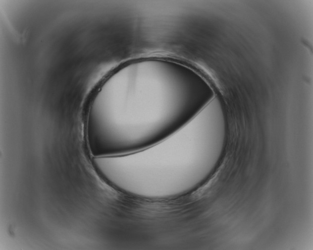 X0000097831414200803140818