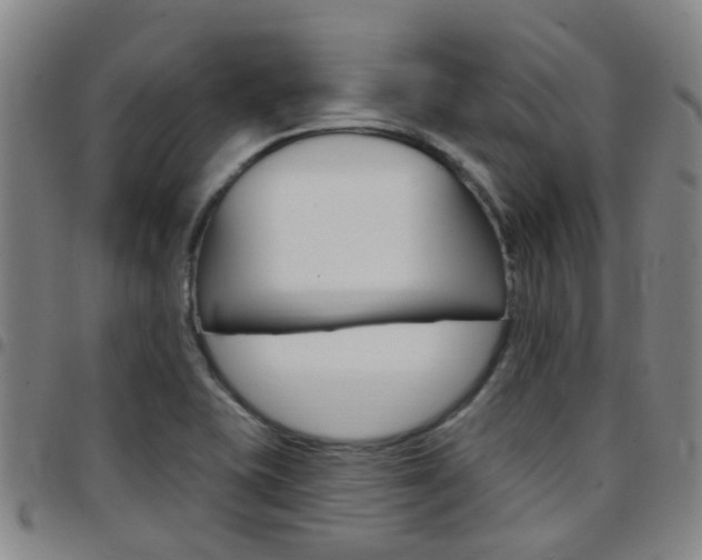X0000097831415200803140818