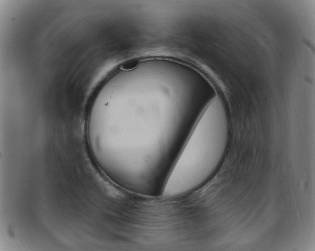 X0000097831416200803140818