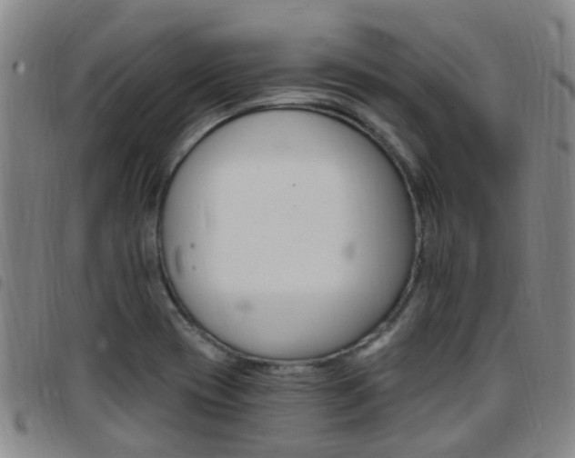 X0000097831417200803140818