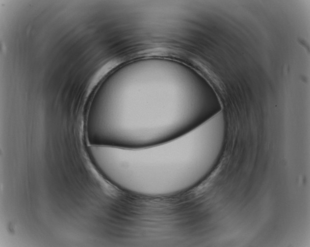 X0000097831418200803140818