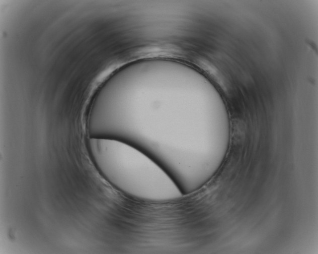 X0000097831419200803140818