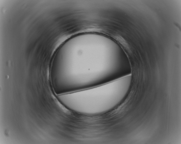 X0000097831420200803140818