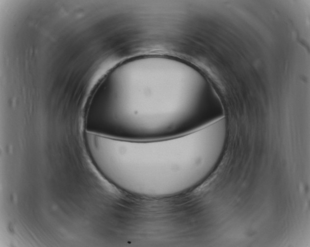 X0000097831424200803140818