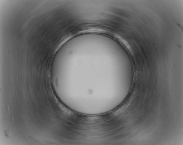 X0000097831425200803140818