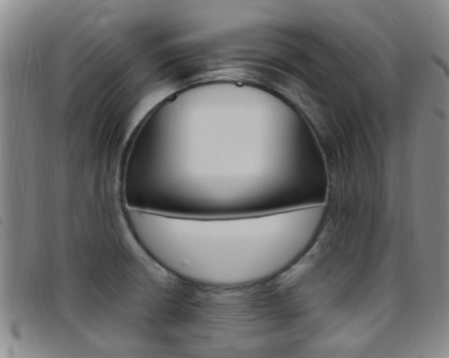 X0000097831426200803140818