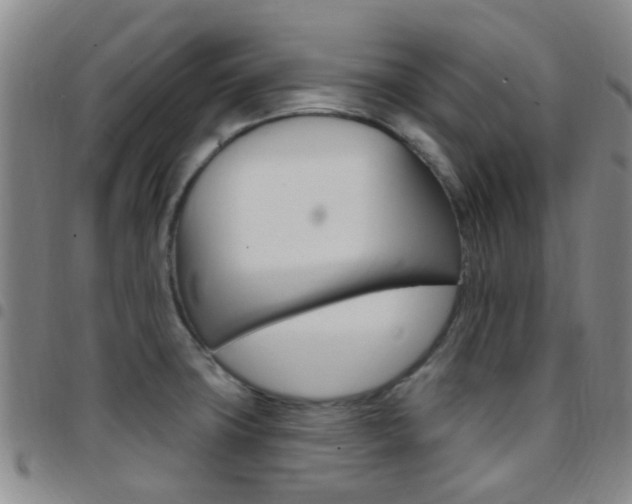 X0000097831427200803140818
