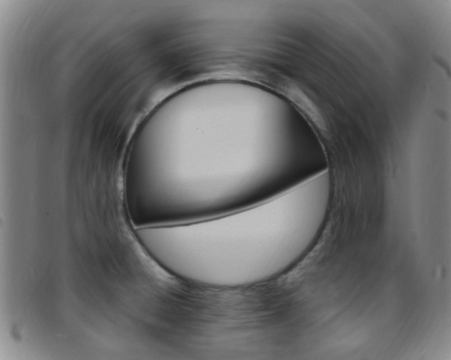 X0000097831428200803140818