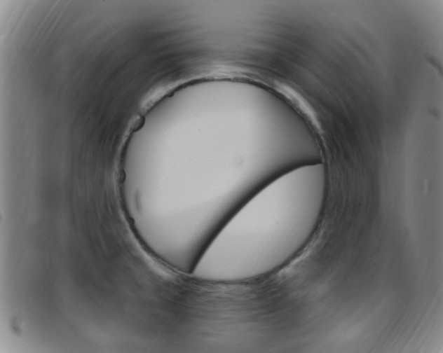 X0000097831429200803140818