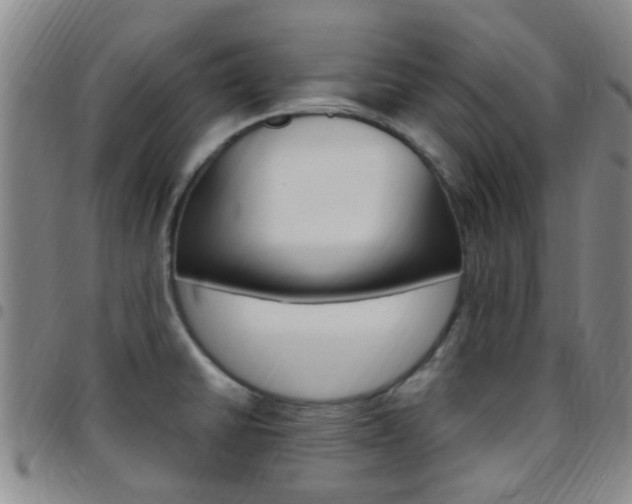 X0000097831430200803140818