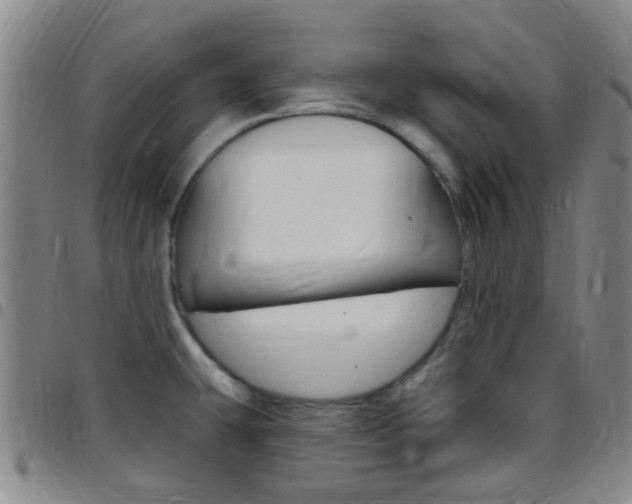 X0000097831431200803140818