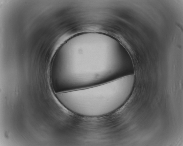 X0000097831432200803140818