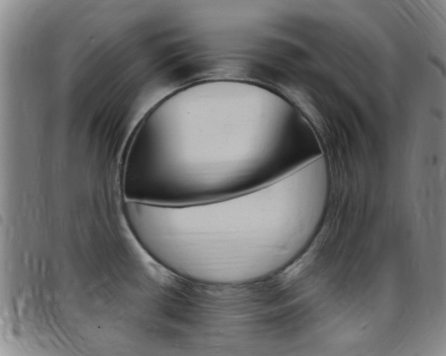 X0000097831434200803140818
