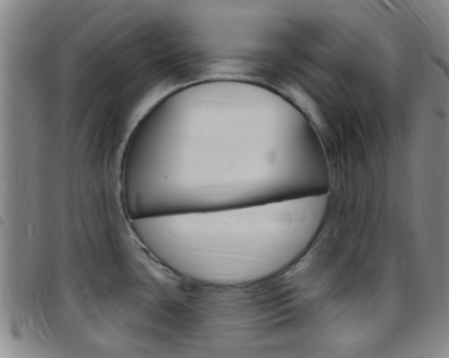 X0000097831435200803140818