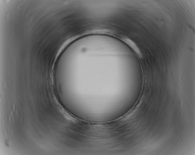 X0000097831436200803140818