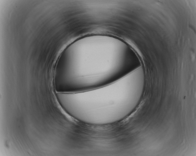 X0000097831437200803140818