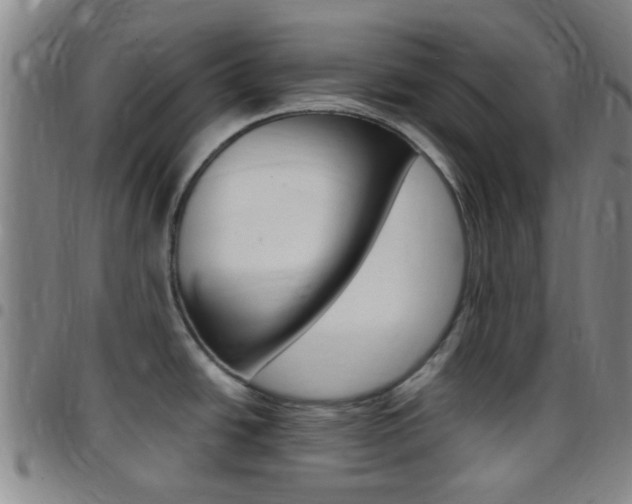 X0000097831438200803140818