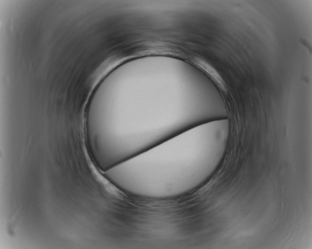 X0000097831439200803140818