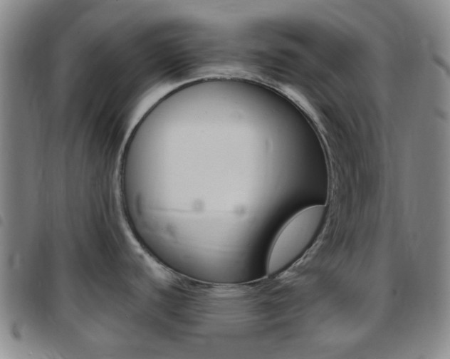 X0000097831440200803140818