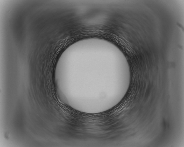 X0000097831441200803140817