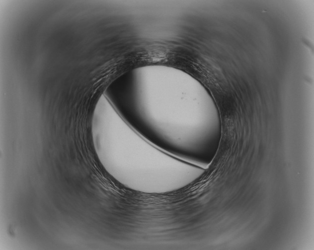 X0000097831442200803140817