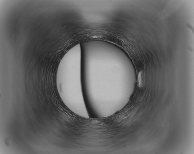 X0000097831443200803140817