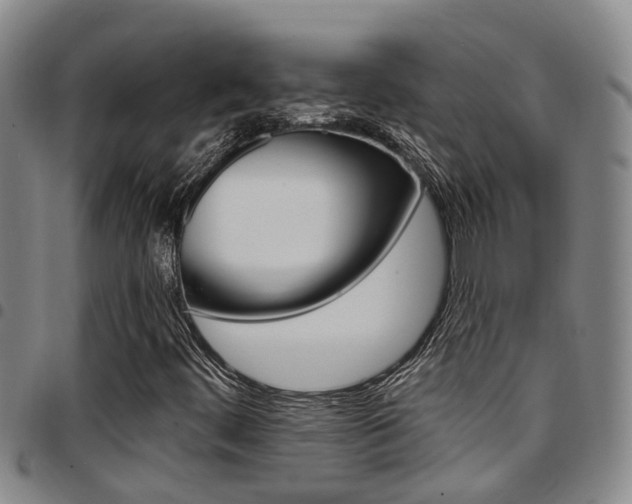 X0000097831444200803140817