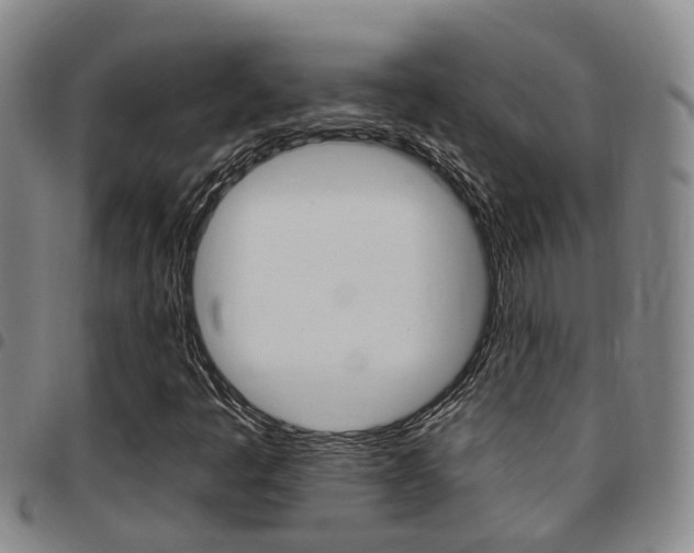 X0000097831445200803140817