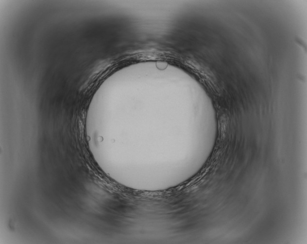X0000097831446200803140817