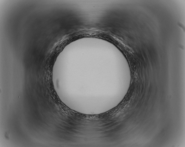 X0000097831447200803140817