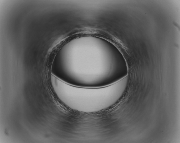 X0000097831448200803140817