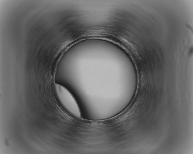 X0000097831449200803140817