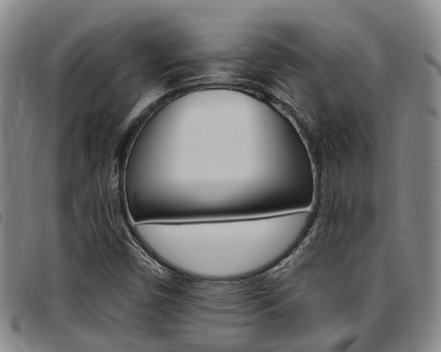 X0000097831450200803140817