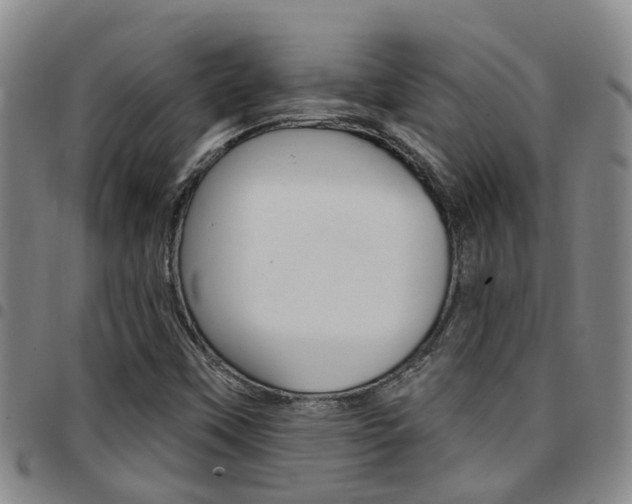 X0000097831451200803140817