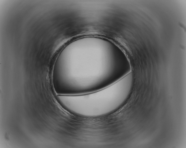 X0000097831452200803140817