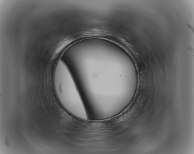 X0000097831453200803140817