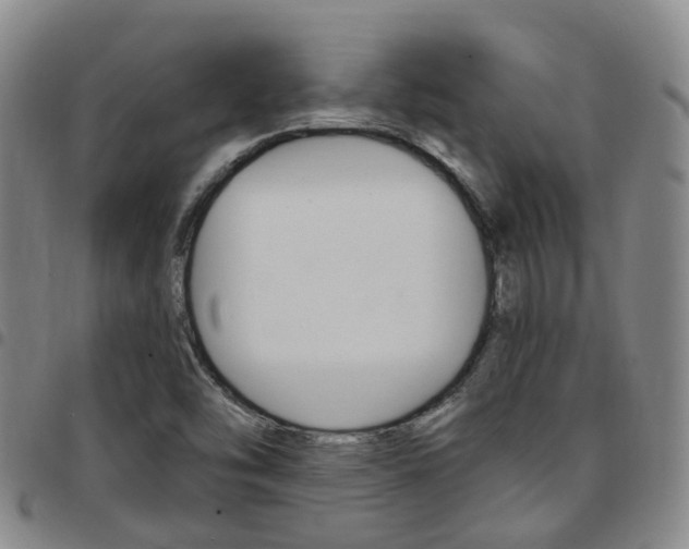 X0000097831454200803140817