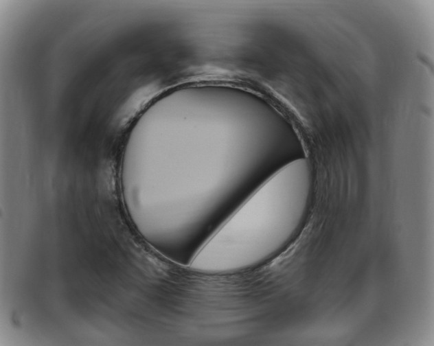 X0000097831455200803140817