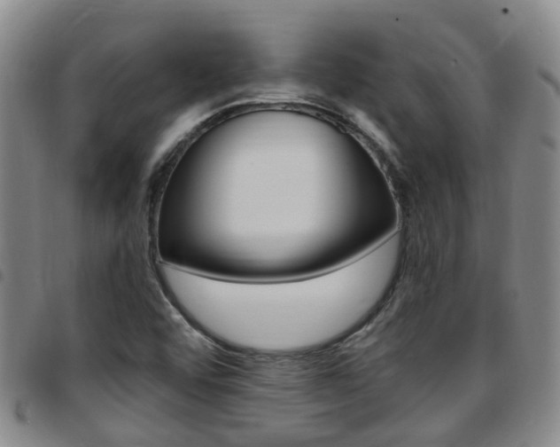 X0000097831456200803140817