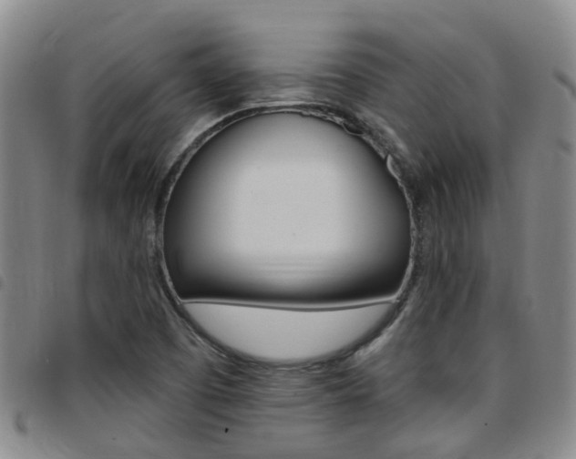 X0000097831457200803140817