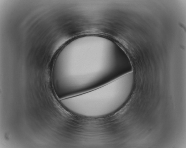 X0000097831458200803140817