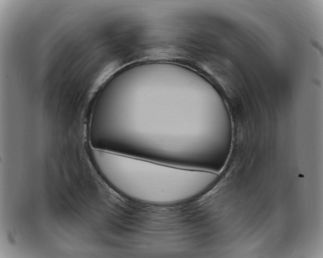 X0000097831459200803140817
