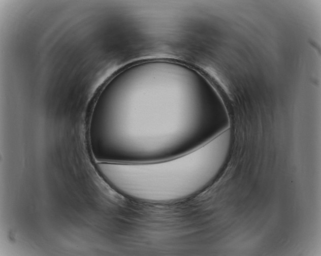 X0000097831460200803140817