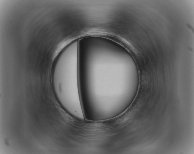 X0000097831461200803140817