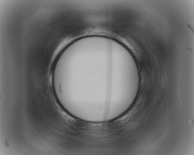X0000097831462200803140817