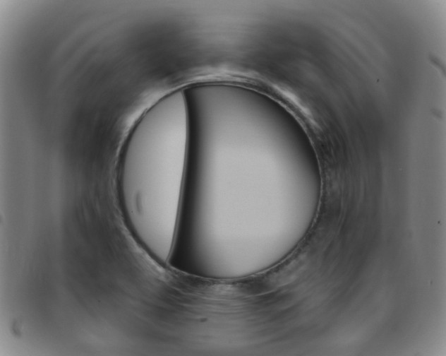 X0000097831463200803140817