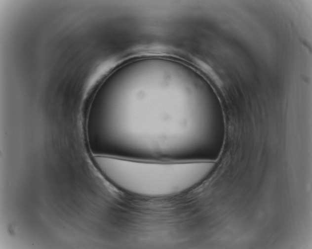 X0000097831464200803140817